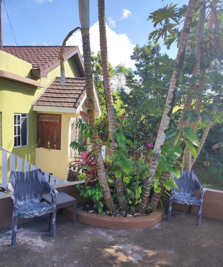 Gables Vacation Rentals With Private Gated Parking Onsite Knockpatrick Εξωτερικό φωτογραφία